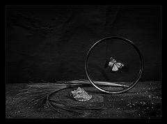 photo "Life"