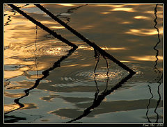 photo "Rings in the water..."