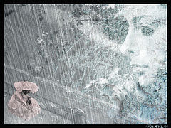 фото "in memory"