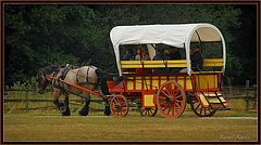 photo "old transport"