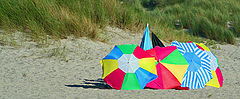 фото "Beach Umbrellas"