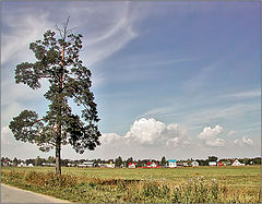 фото "Летняя картинка))"