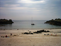 photo "Visiting yachtsman !"