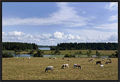 фото "Пастораль."