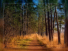 photo "***"