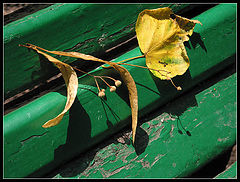 photo "Here and autumn.."