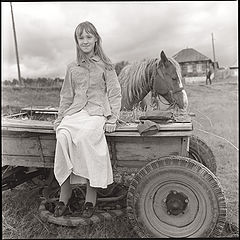 photo "On cart"