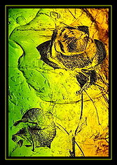 photo "***"