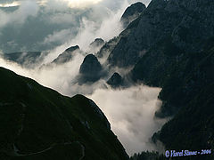 photo "Dream"