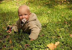 фото "Son"
