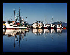 фото "Double vision"