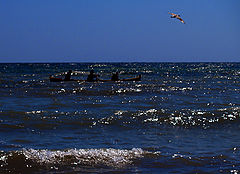 photo ".#.."