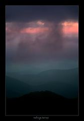 фото "acid rain"