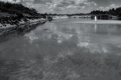 фото "-I-"