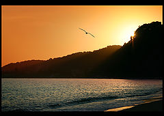 photo "***"
