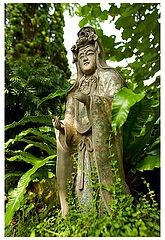 photo "His Majesty!"