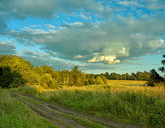 photo "Evening mood"