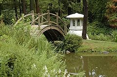 фото "Inside a Japanese Garden"