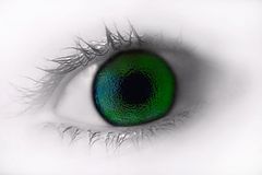 photo "your eyes"