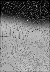 photo "Drops"
