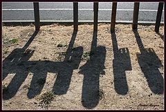 photo "Shadow"