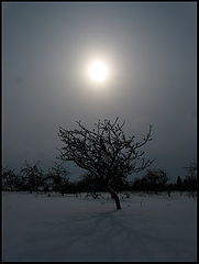 photo "***"