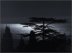 photo "Night is gentle"