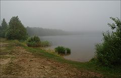 photo "It is wet"