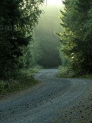 фото "Peaceful morning in september..."