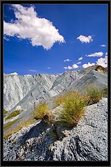 photo "Yarlu"