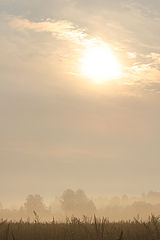 photo "***"