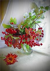 фото "Осенний"