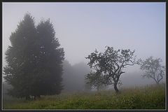 photo "The first autumn fog"