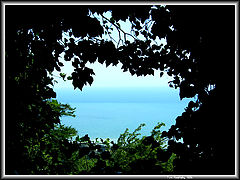 album "Abkhazia"