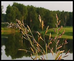 фото "...у озера ..."