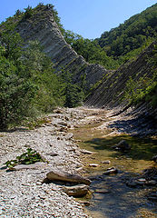 photo "The mountain river"