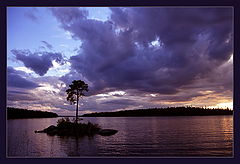 photo "***"