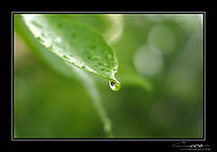 photo "***"