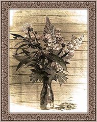 фото "офорт"