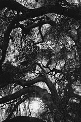 photo "Archway"