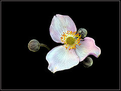 photo "Postcard"