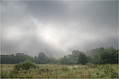 photo "***"