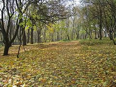 фото "Приятный парк"