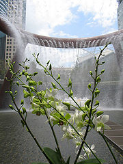 photo "The fountain of wealth"