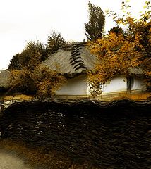 photo "* * *"
