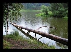 photo "Rain..."