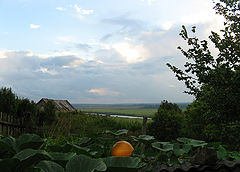 photo "Before  the thunderstorm"