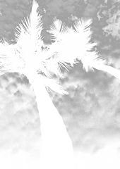 photo "***"