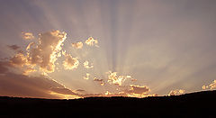 photo "The Evening Lights"