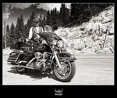 photo "Harley`s Family"